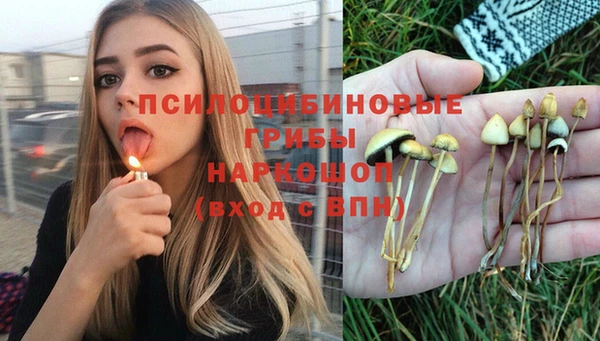 мет Верхний Тагил