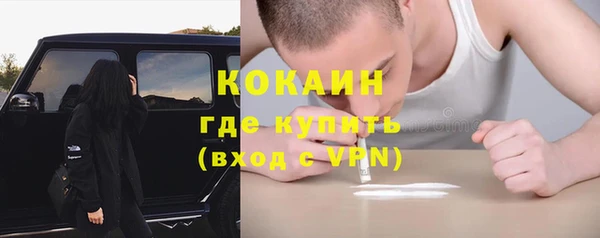 ГАЛЛЮЦИНОГЕННЫЕ ГРИБЫ Беломорск